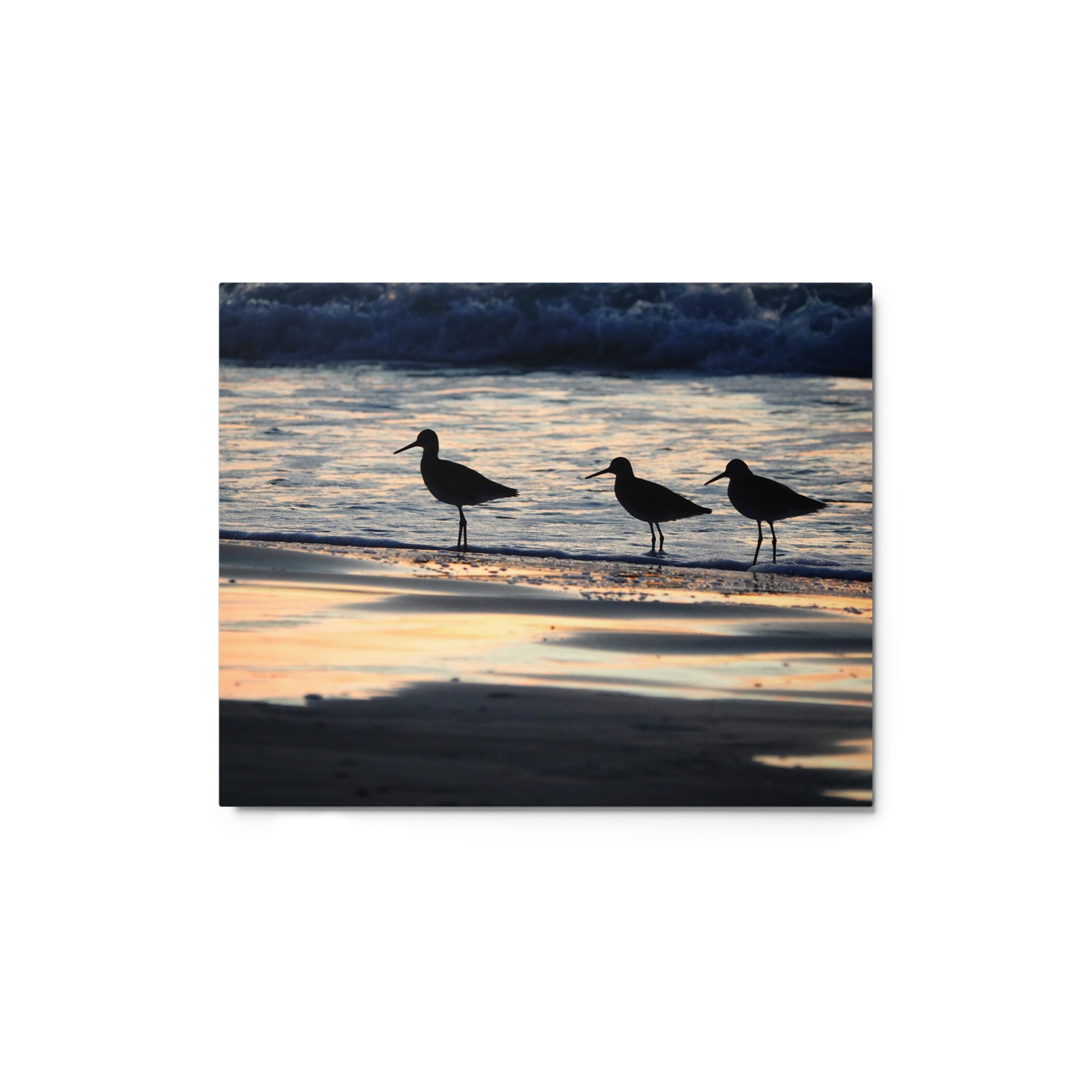 Three Birds at Sunset - Metal Photograph Print