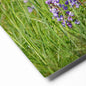 Purple Wildflowers - 8 x 10" Premium Metal Print