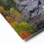 Fall forest - Metal Photograph Print